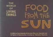 Food From The Sun  (1967)