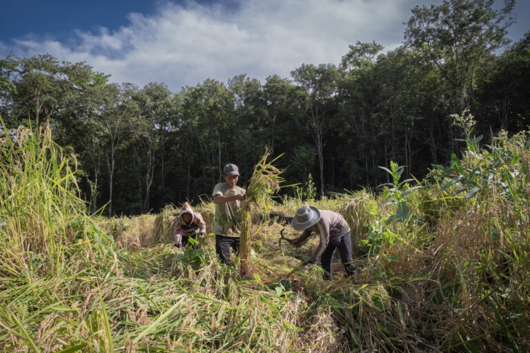 Can a carbon offset project really secure Indigenous rights in authoritarian Cambodia?