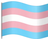trans, flag