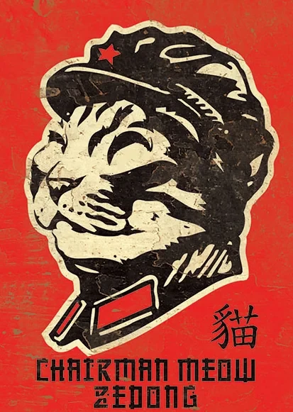 Chairman Meow