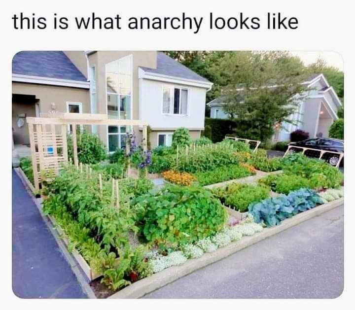 Feed your Neighbours Feed your Neighbours