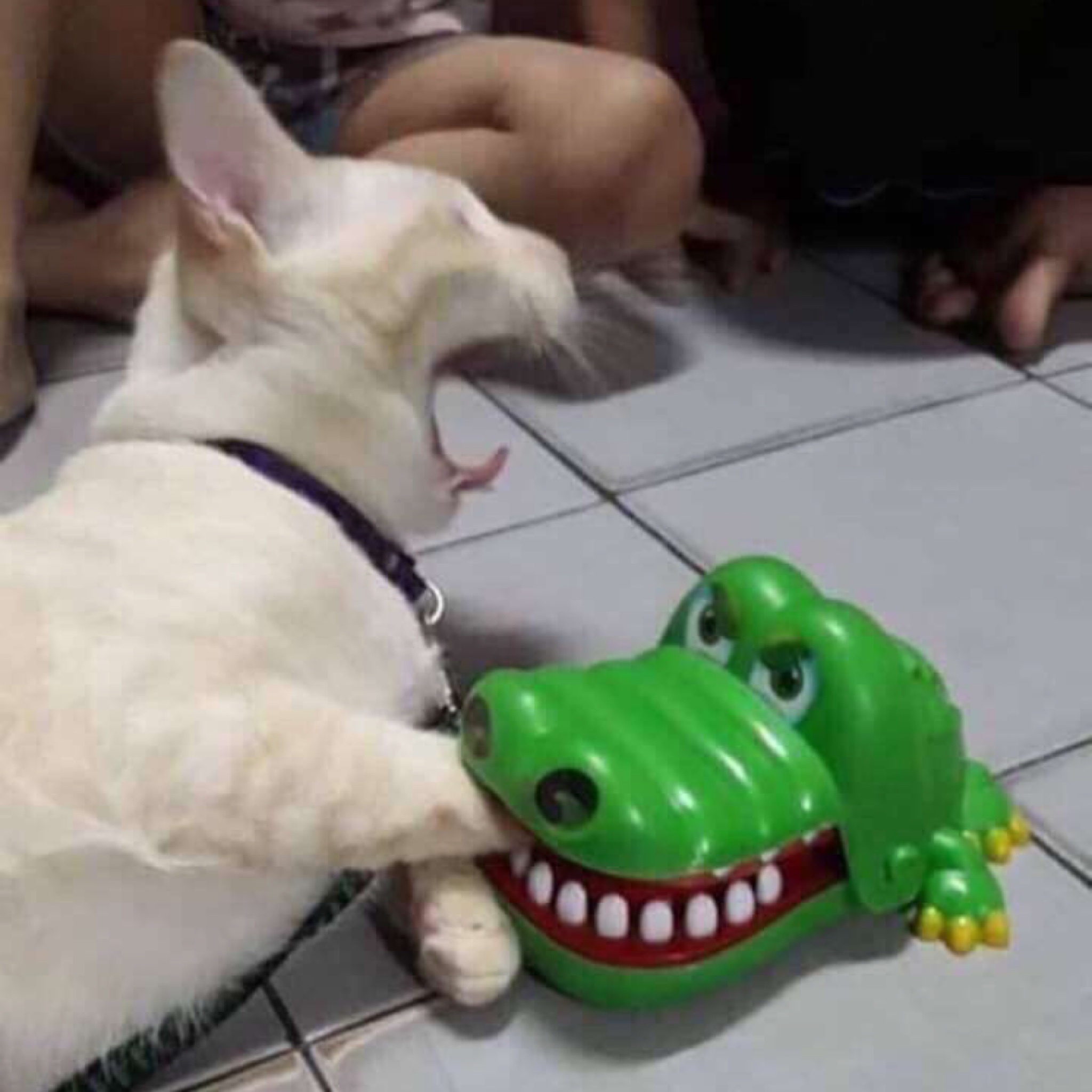 Here you go