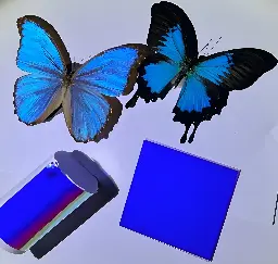 Butterfly-inspired films create vibrant colors while passively cooling objects