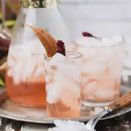 Foraged Pink Staghorn Sumac Lemonade
