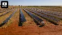Australia's first solar garden is taking the renewables boom to the community