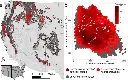 Widespread exposure to altered fire regimes under 2 °C warming is projected to transform conifer forests of the Western United States