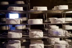 Sacré Bleu! Cheese enthusiasts are mourning the possible extinction of brie cheese