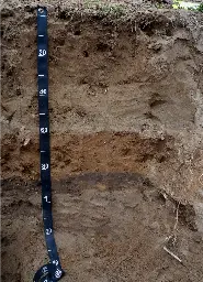 How to identify alluvial soils with three clues