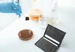Plastic-free vegan leather that dyes itself grown from bacteria | Imperial News | Imperial College London
