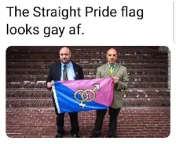 The straight pride flag looks gay AF