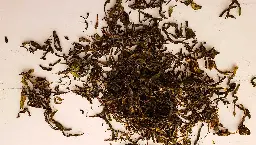 Fireweed Tea - How to Make Fireweed Tea - Hunter Angler Gardener Cook