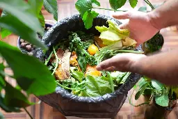 Composting 101: Everything You Need to Know - EcoWatch