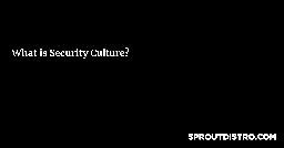 What is Security Culture? Zine