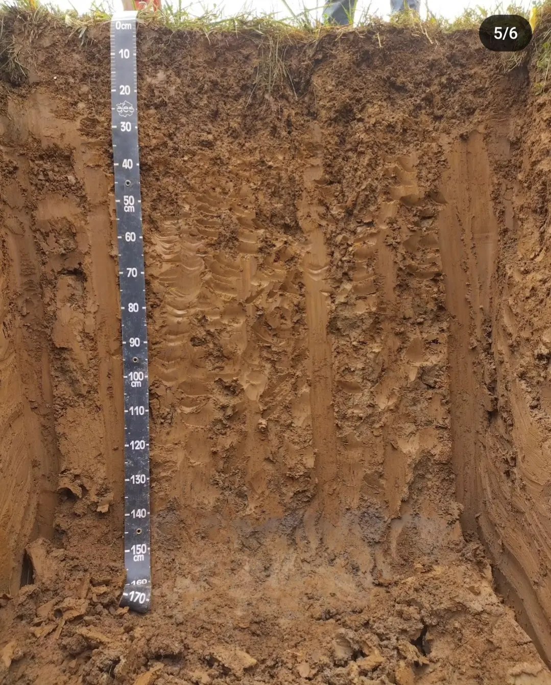 associated soil pit