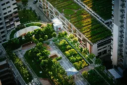 Modeling shows green roofs can cool cities and save energy - Lemmy.World