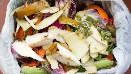 France mandates separating food waste for the environment