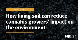 How living soil can reduce cannabis growers' impact on the environment