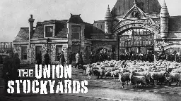 The Union Stockyards —&nbsp;A Chicago Stories Documentary