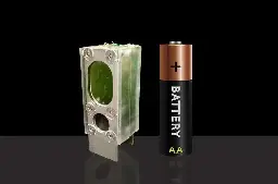 Algae powers computer for a year using only light and water