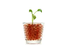 Is Hydrogel Good for Potted Plants? Using Water Gels For Plants - Flourishing Plants