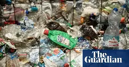 ‘They lied’: plastics producers deceived public about recycling, report reveals