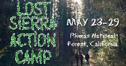 Announcing the Lost Sierra Forest-Climate Action Camp