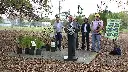 Tampa to plant 30,000 trees by 2030 to restore city’s canopy