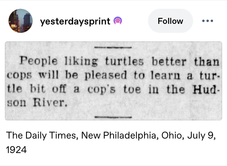 tumblr post by yesterdaysprint: People liking turtles better than cops will be pleased to learn a turtle bit off a cop's toe in the Hudson River - Tge Daily Times, New Philadelphia, Ohio, July 9, 1924