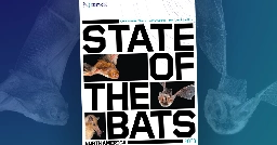 2023 State of the Bats Report