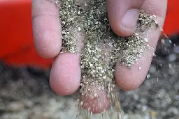 DIY How to Make Mycorrhizal Fungi Inoculant - Mold Resistant Strains