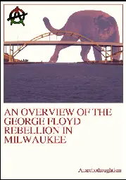 The shithole I call home: Cooptation in Milwaukee’s George Floyd Rebellion