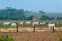Guest post: How shifting diets away from beef could cut Brazil’s emissions - Carbon Brief