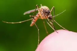 Mosquitoes are becoming a bigger threat, thanks to climate change. How can the U.S. keep them under control?