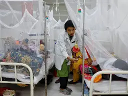Bangladesh dengue deaths cross 1,000 in worst outbreak on record