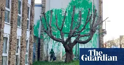 Banksy confirms north London tree mural is his work